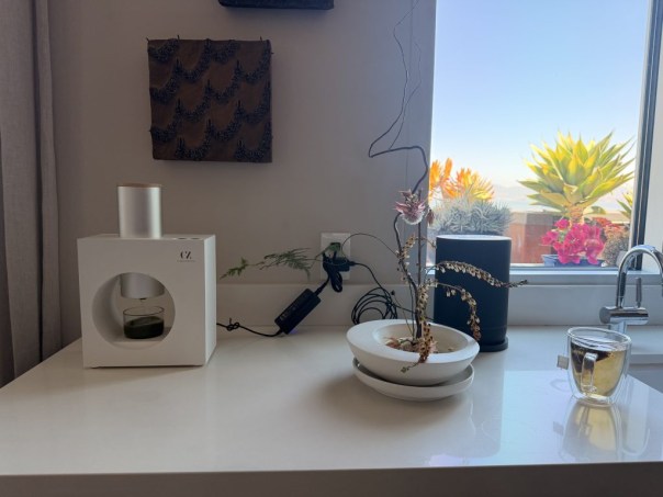 Matt: Post-Earthquake Tea Grit